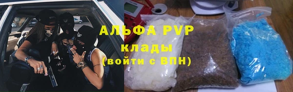 PSILOCYBIN Абаза